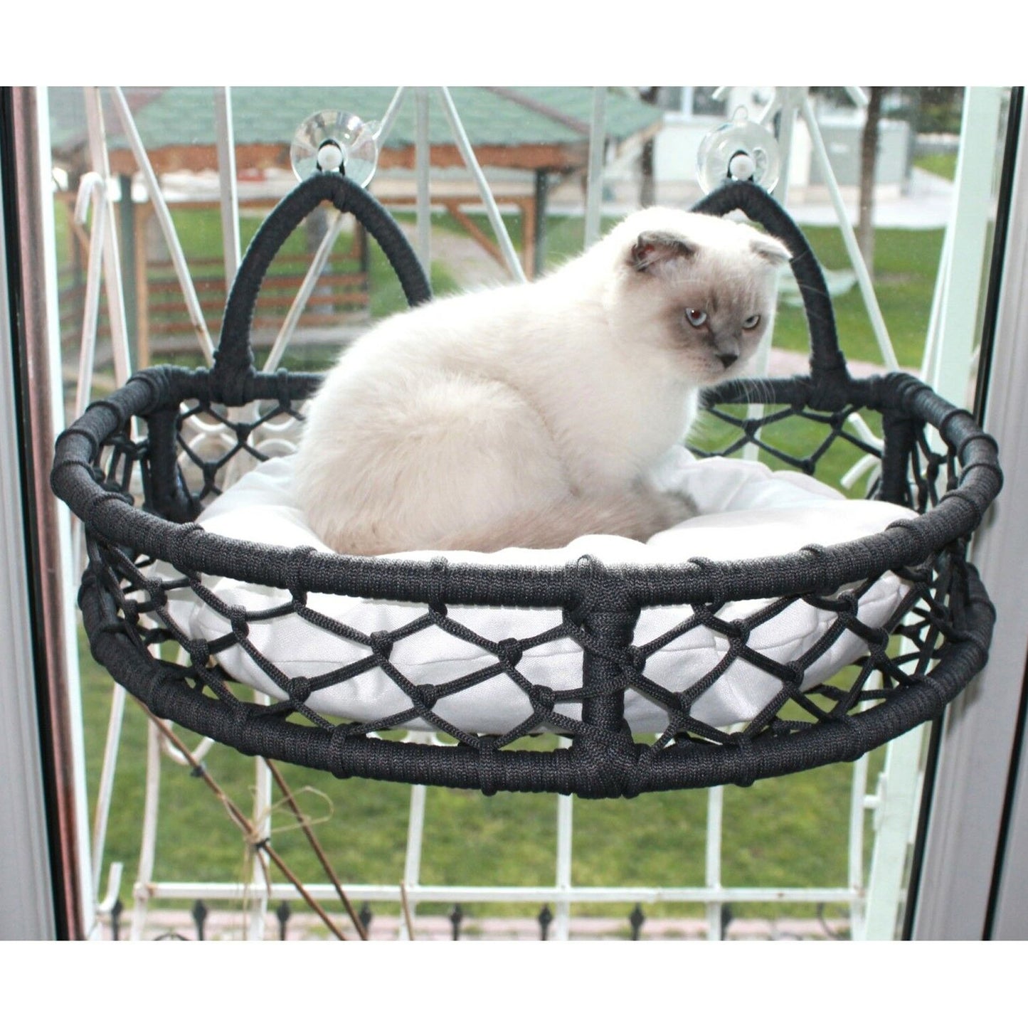 Cedric Kedi Cam Yatağı & Cam Askılı Vantuzlu Kedi Yatağı