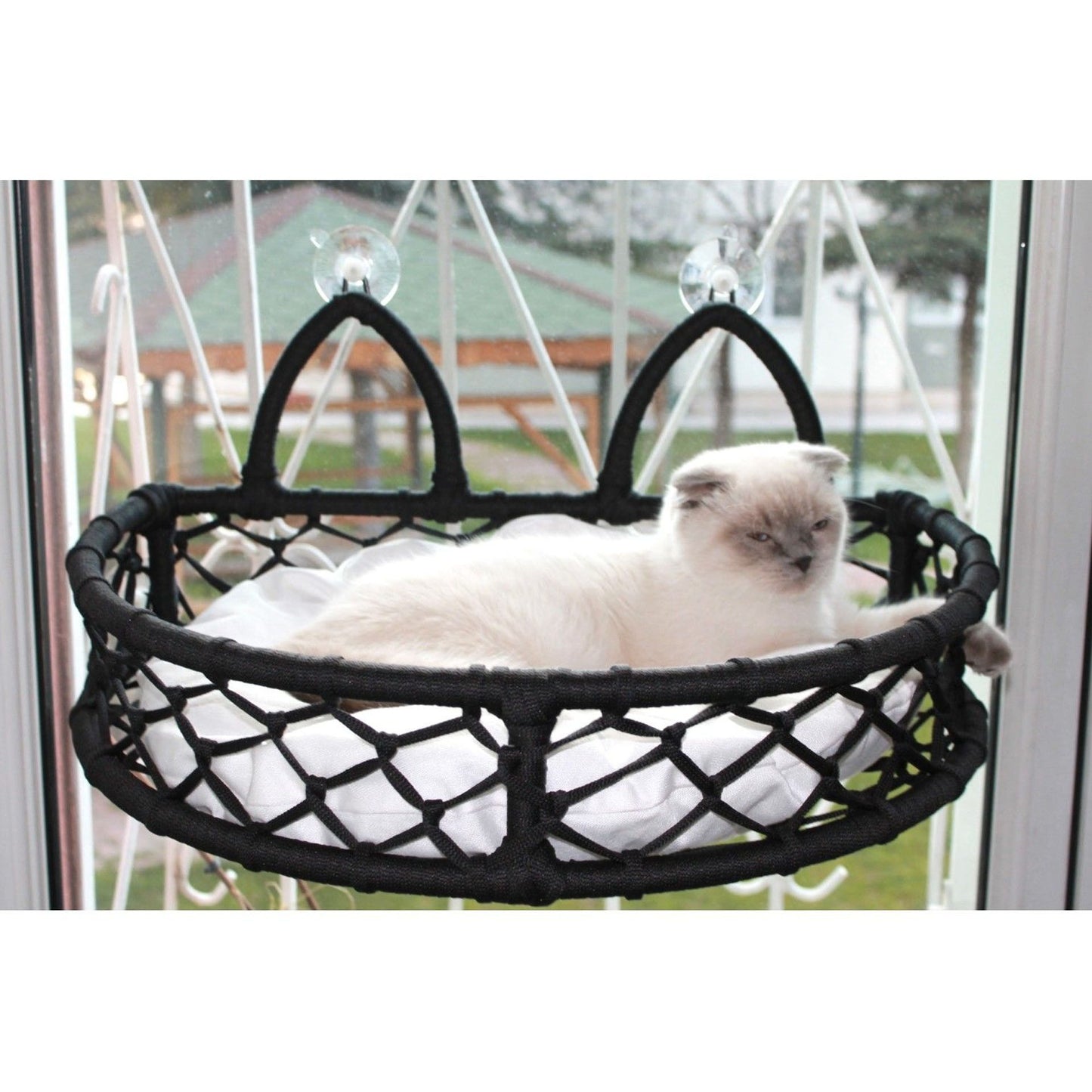 Cedric Kedi Cam Yatağı & Cam Askılı Vantuzlu Kedi Yatağı