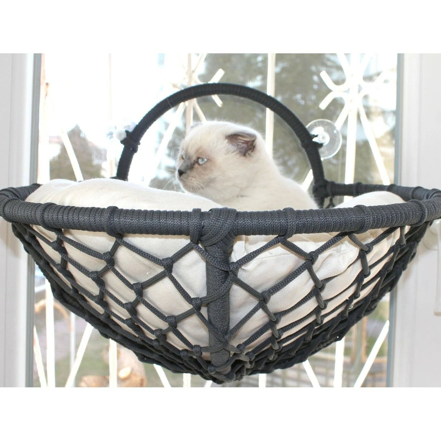Grant Kedi Cam Yatağı & Cam Askılı Vantuzlu Kedi Yatağı