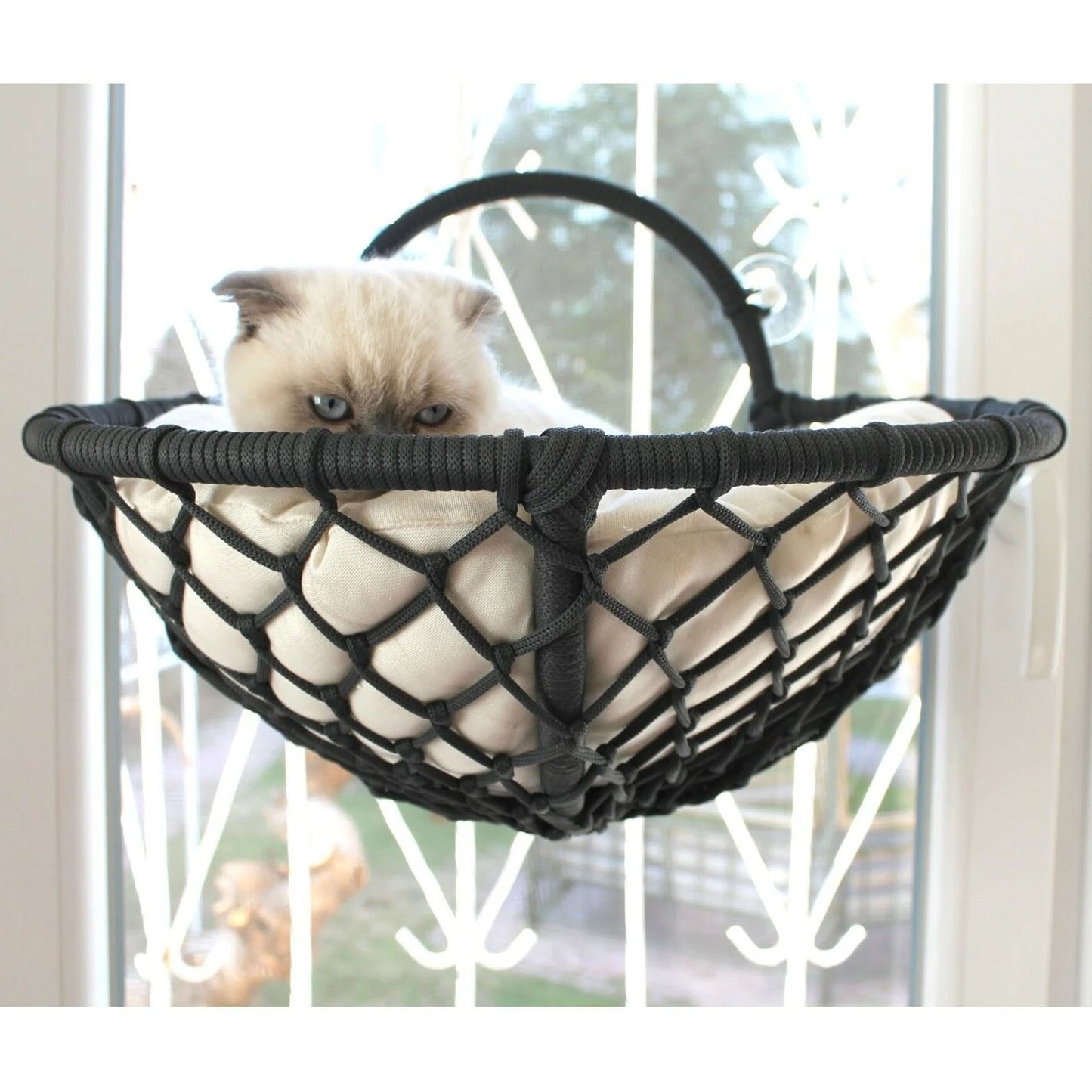 Grant Kedi Cam Yatağı & Cam Askılı Vantuzlu Kedi Yatağı