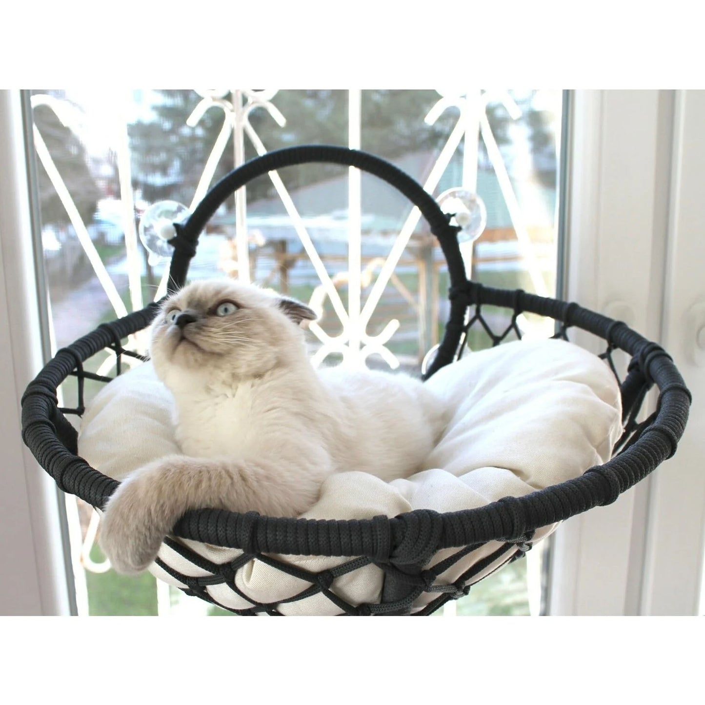 Grant Kedi Cam Yatağı & Cam Askılı Vantuzlu Kedi Yatağı