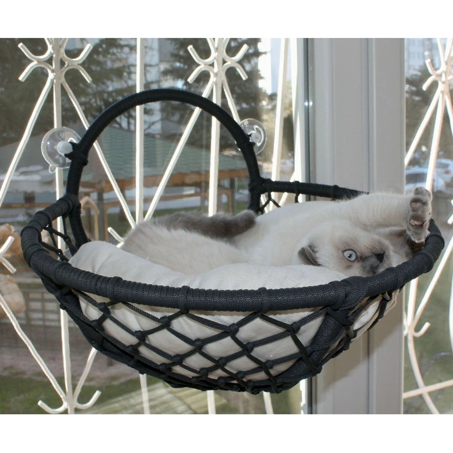 Grant Kedi Cam Yatağı & Cam Askılı Vantuzlu Kedi Yatağı