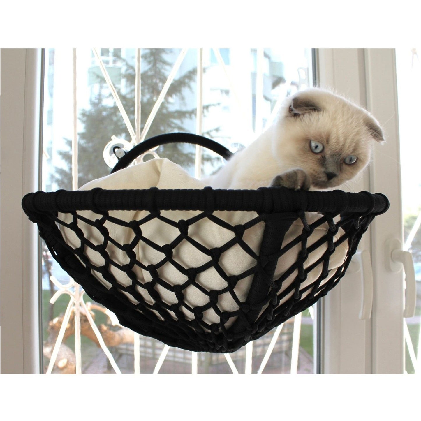 Grant Kedi Cam Yatağı & Cam Askılı Vantuzlu Kedi Yatağı