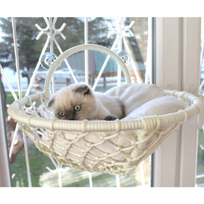 Grant Kedi Cam Yatağı & Cam Askılı Vantuzlu Kedi Yatağı