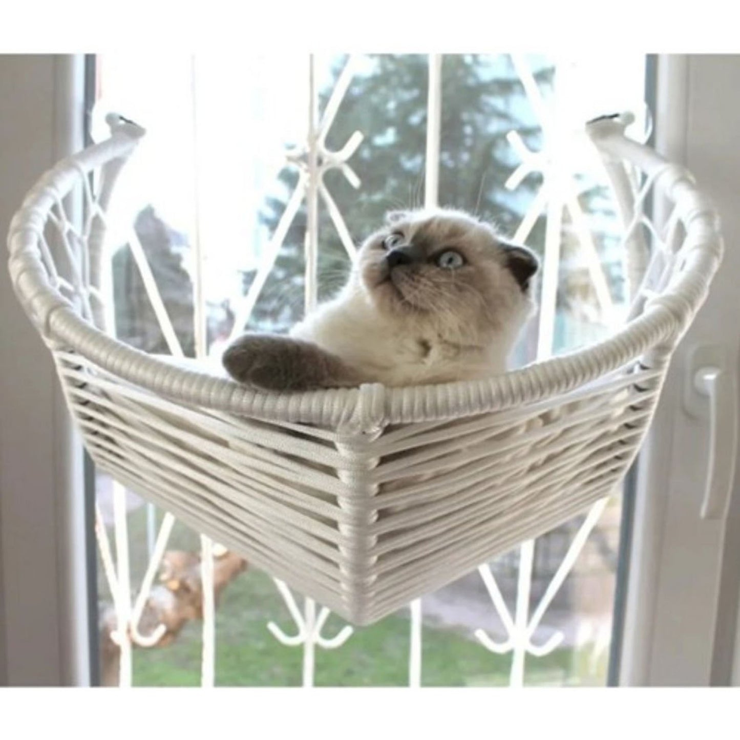 Harold Kedi Cam Yatağı & Cam Askılı Vantuzlu Kedi Yatağı