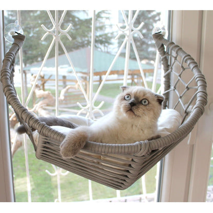 Harold Kedi Cam Yatağı & Cam Askılı Vantuzlu Kedi Yatağı