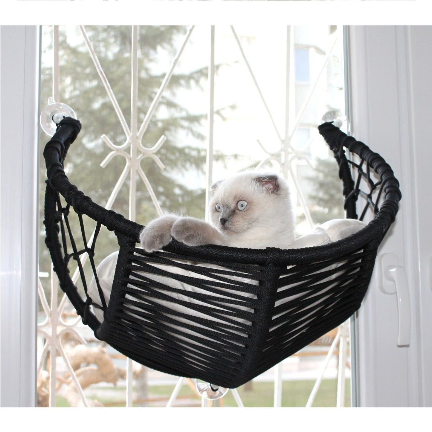 Harold Kedi Cam Yatağı & Cam Askılı Vantuzlu Kedi Yatağı